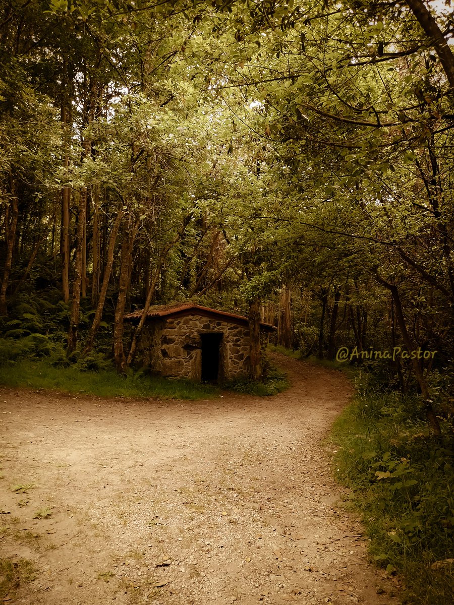 ...🤫🌿🖤
#Galicia