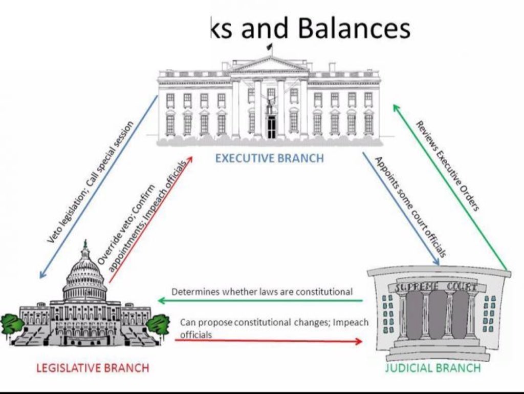 spunkygaga's tweet image. UNCONSTITUTIONAL Maga Nazi Occupation.#NoDueProcess