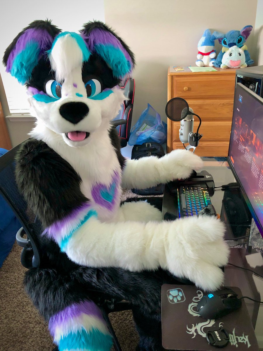 #FursuitFriday me_irl this week. 

It’s been so eye-opening learning how to stream!

Doing one more this evening and will try streaming VR too!

Hope to see you there. 😃💜💙

8pm Eastern, twitch.tv/hopecollie