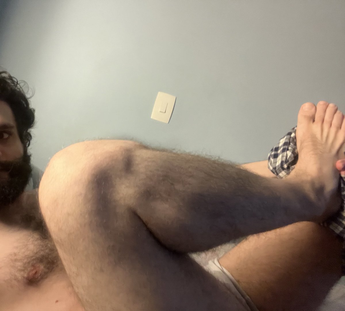 Plaracampos's tweet image. Salut