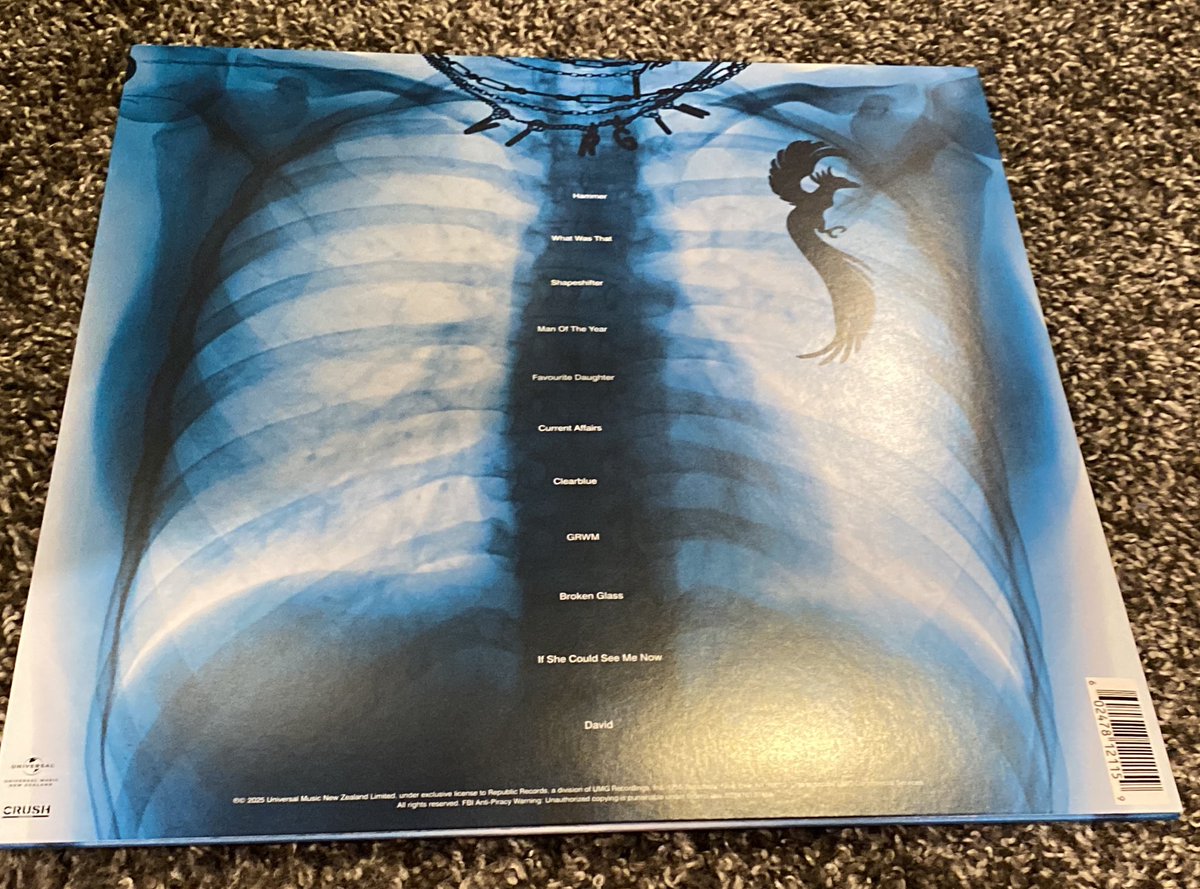 Can confirm the inside fold for Lorde’s new album Virgin on Vinyl is VERY nsfw and that it did make me do an 😮