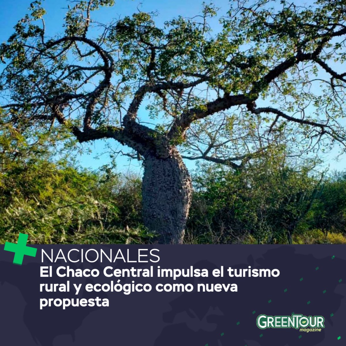 El turismo rural y ecológico se posiciona como una alternativa sostenible para quienes buscan experiencias auténticas y contacto directo con la naturaleza. Esta propuesta se centra especialmente en la región del Chaco Central, donde se están desarrollando rutas turísticas que