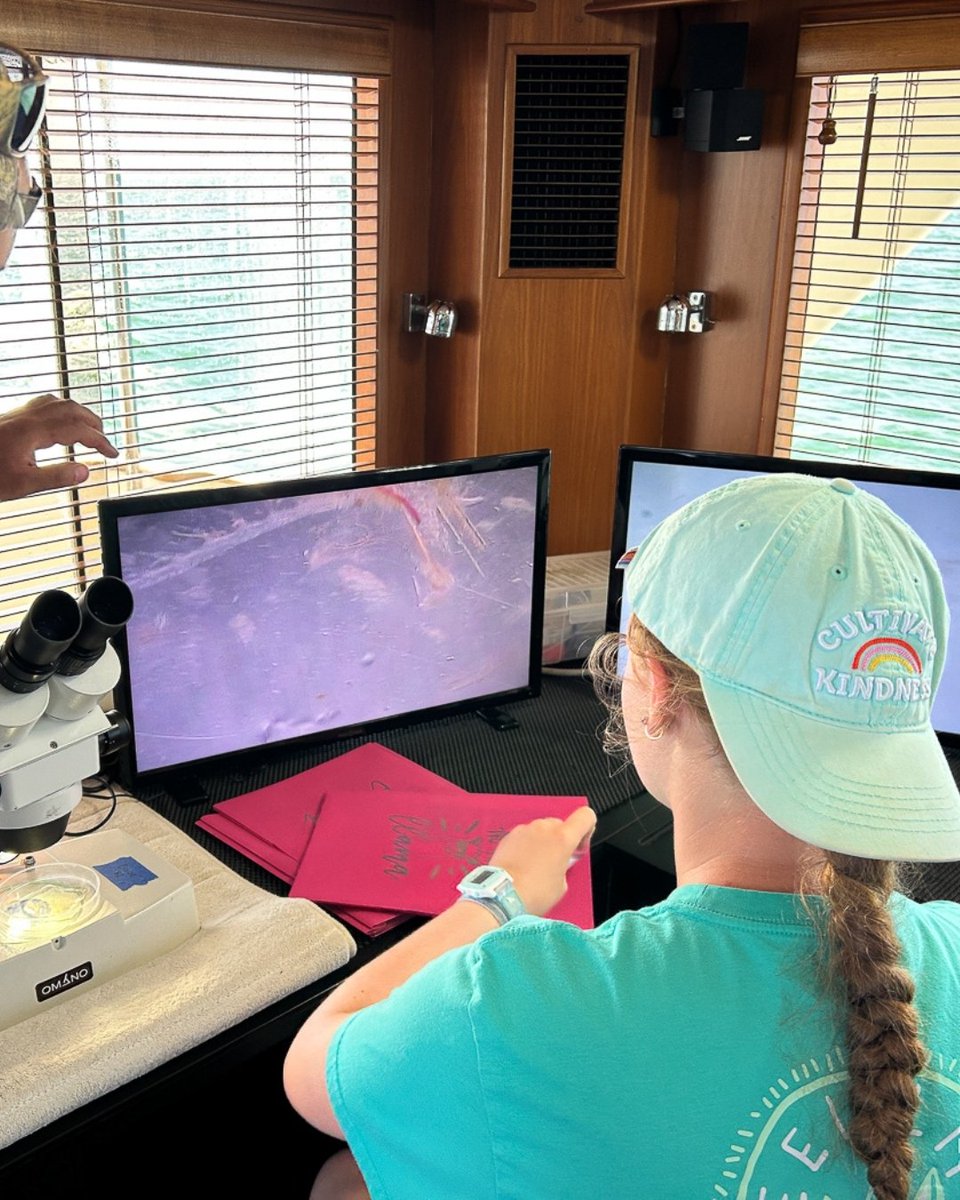 ANGARI Foundation (@angariocean) on Twitter photo #FlashbackFriday to a couple of weeks ago when we had the best time with USF's <a href="/OCG_Outreach/">Oceanography Camp</a>. Over three days we hosted 31 energetic and engaging young scientists onboard #rvANGARI to participate in hands-on, field-based oceanography research.
➡️ hubs.ly/Q03v4ch_0 #FlashbackFriday to a couple of weeks ago when we had the best time with USF's <a href="/OCG_Outreach/">Oceanography Camp</a>. Over three days we hosted 31 energetic and engaging young scientists onboard #rvANGARI to participate in hands-on, field-based oceanography research.
➡️ hubs.ly/Q03v4ch_0