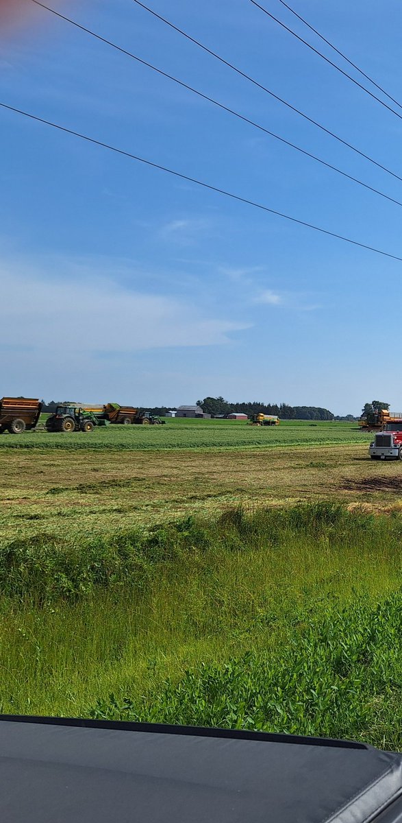 SCSAgronomy's tweet image. #agrisagronomy pea harvest under way in Chatham Kent