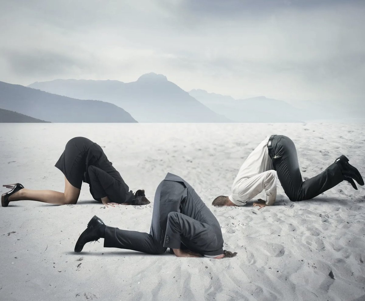 Friday Reflection: How are your blind spots limiting your ability to identify improvements that could boost the patient experience? We all have them. We don't always know what they are. How to find out? Seek feedback from others...and listen! #HealthcareLeadership #ListeningPosts