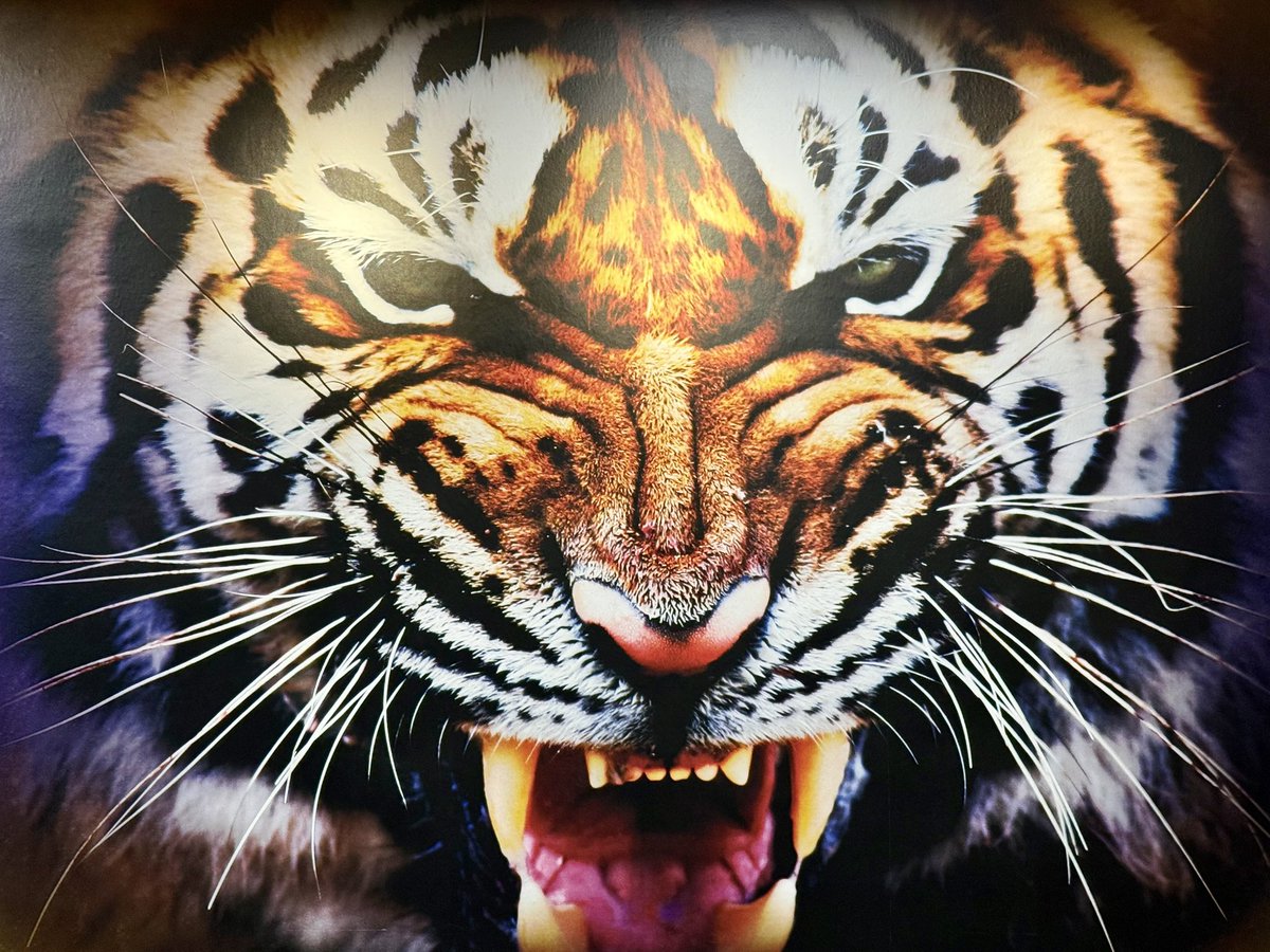 jaxward1208's tweet photo. On a date. Kind of nervous. 😬 
•
•
•
#lsu #lsutigers #geauxtigers #batonrouge #collegetour #batonrouge #tour https://t.co/7Arvvzw2Ug
