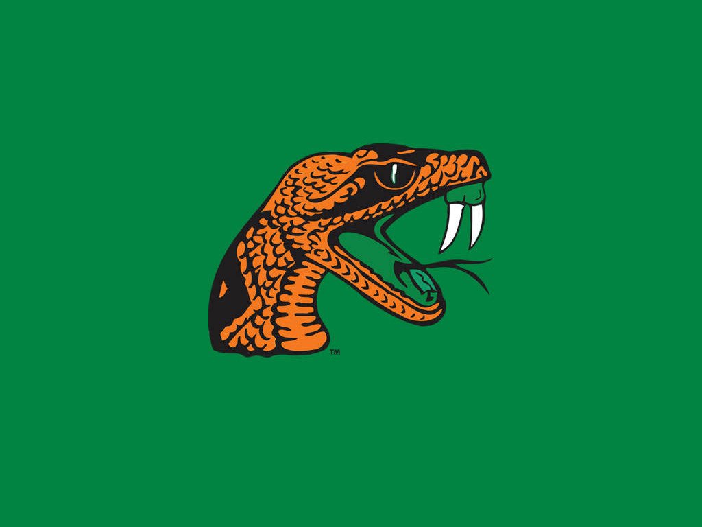 KeyshaunBirks's tweet image. After an amazing camp im extremely blessed to receive a Division 1 offer from Florida A&M !!! @CoachJesse18 @CoachJohnsonSPC @SpcAthletics @julian_baldi @SPCBaronsFB