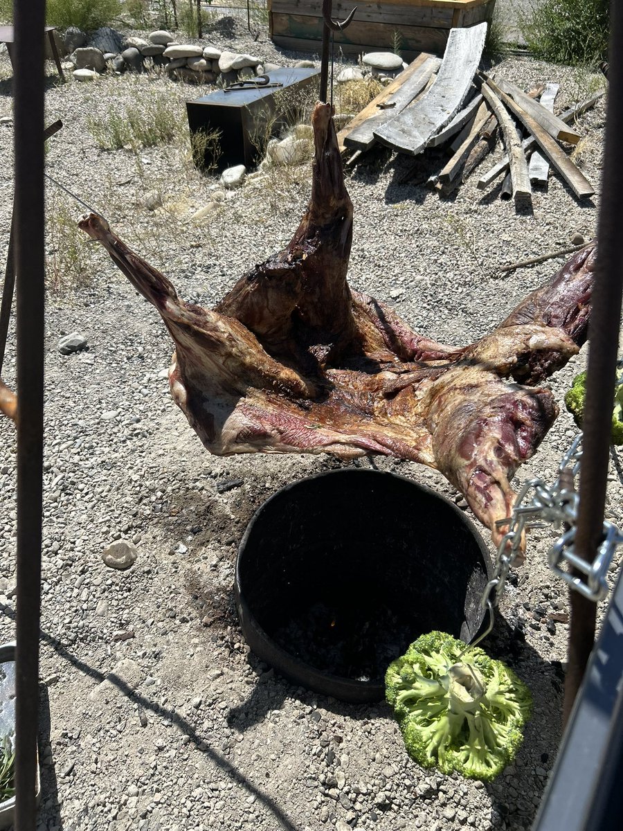 Kissflower restaurant at the  Paonia River park has 2 whole roast sheep getting ready for the final Friday art walk. The sheep are some of our black Welsh mountain