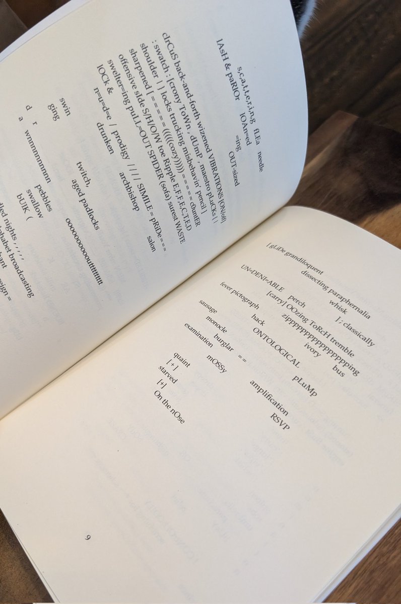 Pleased to announce Joshua Martin's @joshuamartin latest chapbook, punctuated avalanche!