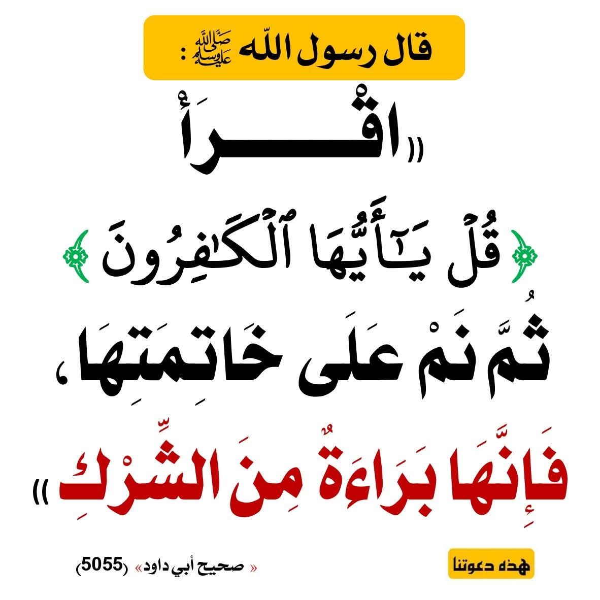 الكتابُ والسُّنة (@kitabwasunna93) on Twitter photo 