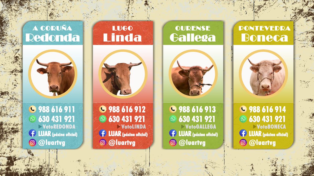luartvg's tweet photo. Atención ❣️Estas son as vías de VOTACIÓN 📲 Vamooooos 🐮🐮🐮🐮 
👉Podes enviar 5 Whatsapps e facer 5 chamadas por cada liña
👉En Facebook e Instagram comentando na publicación. Un voto por conta. https://t.co/5xTzyayjvJ
