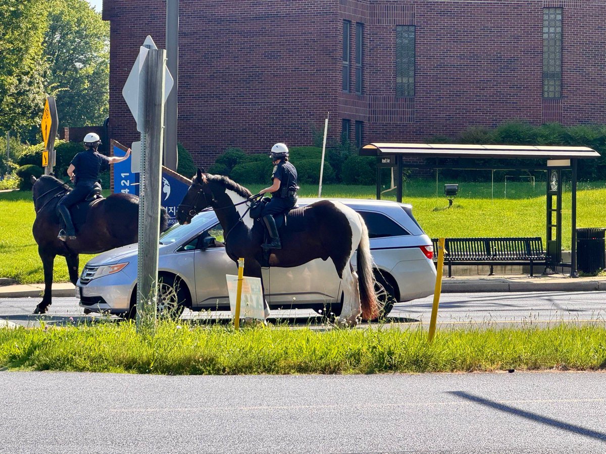 ParkPolice's tweet image. Today we teamed up with @mcpnews for a traffic detail on Georgia Ave focusing on distracted driving, speed, and crosswalks. Police Horses Odin and Kona joined in and focused on cars using too much horse power….