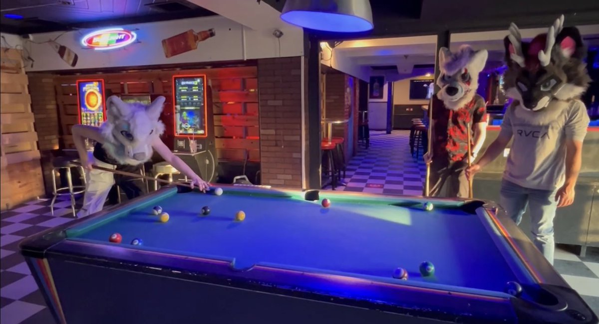 D1SC00RD's tweet image. Did you know that this Fox can play pool? Happy #FursuitFriday