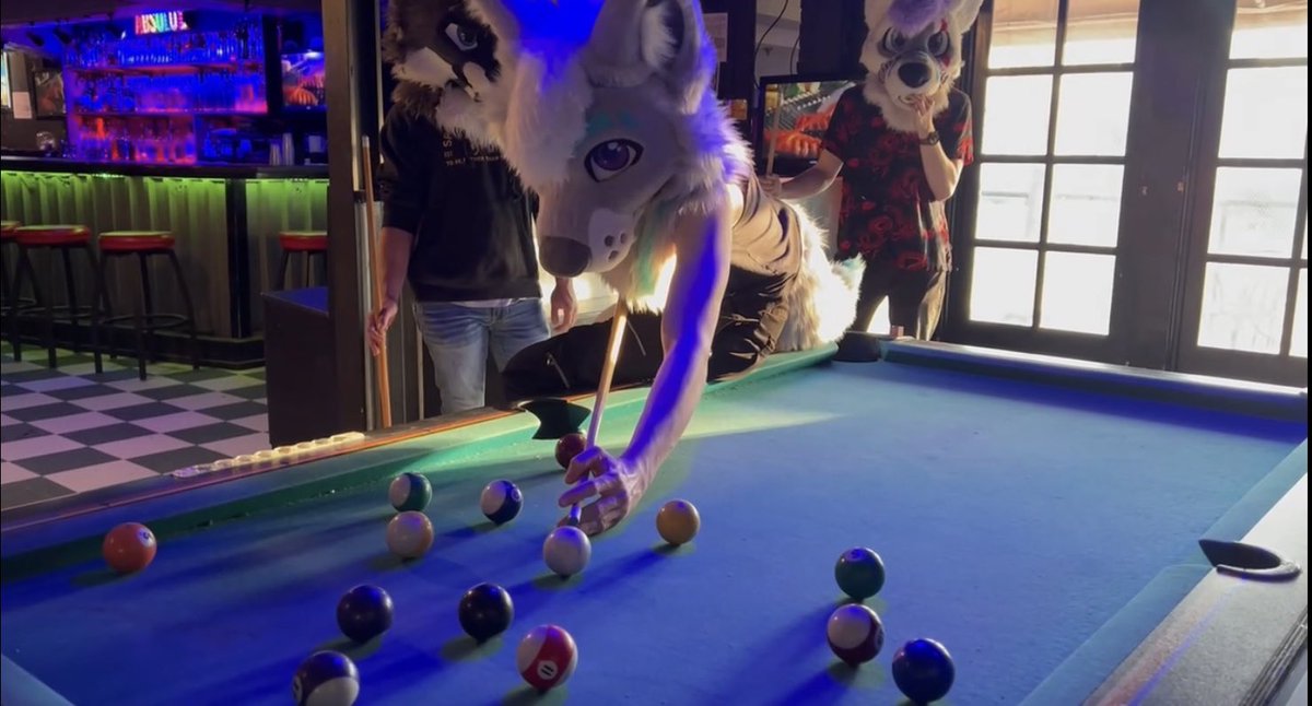 D1SC00RD's tweet image. Did you know that this Fox can play pool? Happy #FursuitFriday