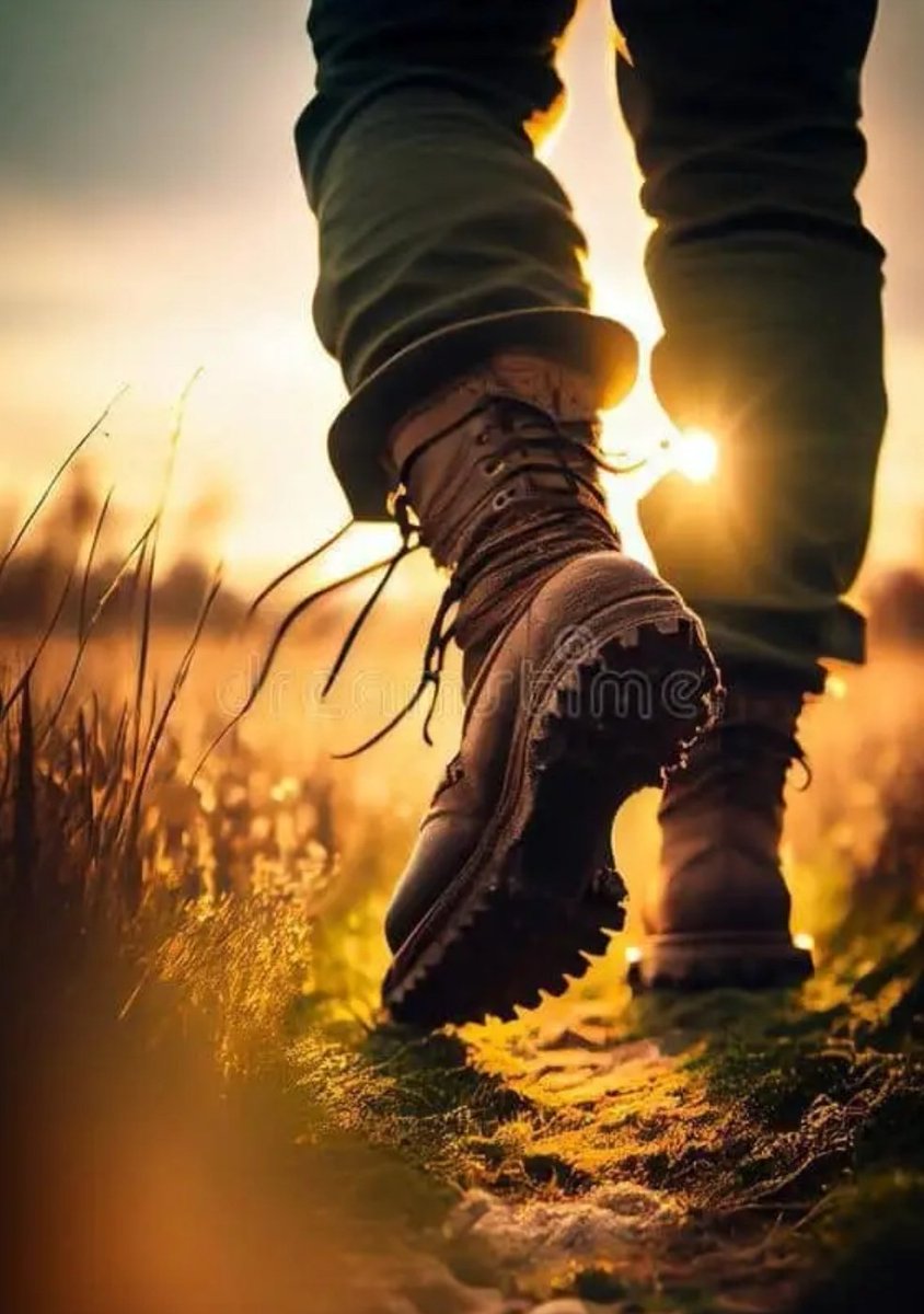 تواروا ونا مازلت . انريدهم بغيبه عجلوا .