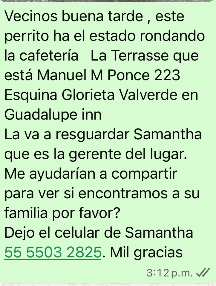<a href="/GuadalupeInn1/">COL. GUADALUPE INN</a>  <a href="/GuadalupeInn_DF/">Col. Guadalupe Inn</a>  <a href="/PrrosPerdidosMX/">PerrosPerdidosMx</a>  <a href="/MascotaCoyoacan/">Mascotas Coyoacán 🐾</a>  <a href="/MascotasSismo/">Mascotas Sismo</a>  <a href="/_PatriciaAnaya/">Amo a los Perros</a>  <a href="/LaNotaPositiva/">La Nota Positiva</a>  <a href="/fellpudito/">Israel González</a>