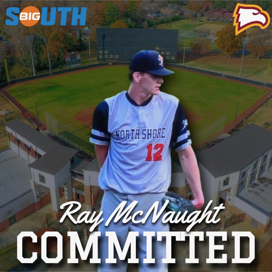 RayMcNaught's tweet image. Committed🦅