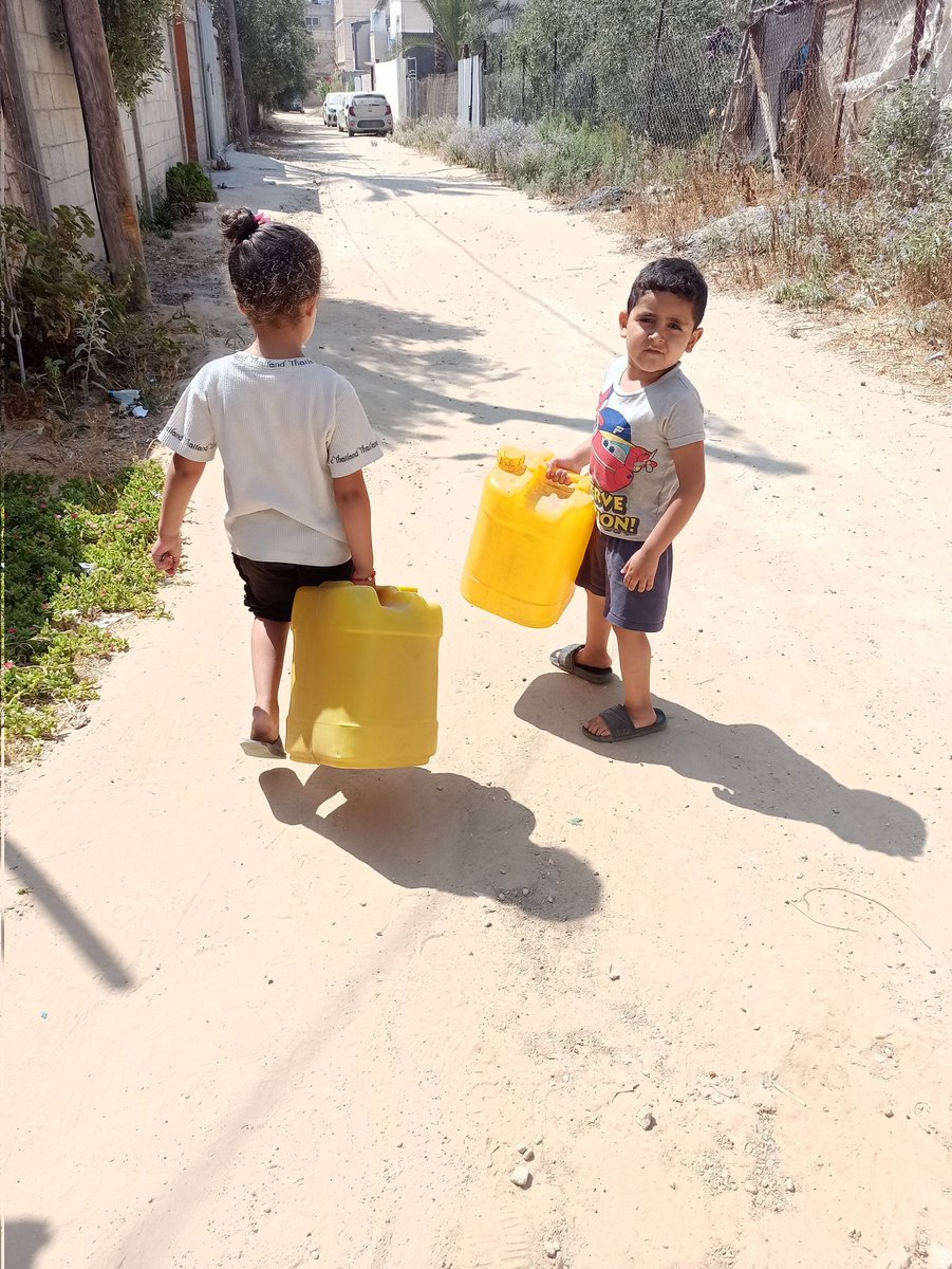 We urgently need your support. If you can’t donate, please help share our plea. While the world celebrates, we fight hunger. Share and stand with us. 🙏🍉
gofund.me/17d5ae43