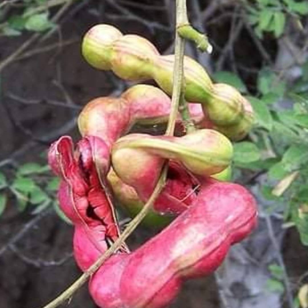 CryptoForSA's tweet image. • فيه ثلاث عملات مستويات .. زي اللوز 💰
وأتوقع اللي يتوفق فيهن، إن وفّق الله سوقنا للصعود؛ بيشوف عشرات الدبلات، وأكثر..

توقعوهن!
بشوف فيه أحد باله معهن..!

وبعلّمكم تحت التغريدة هنا✔️