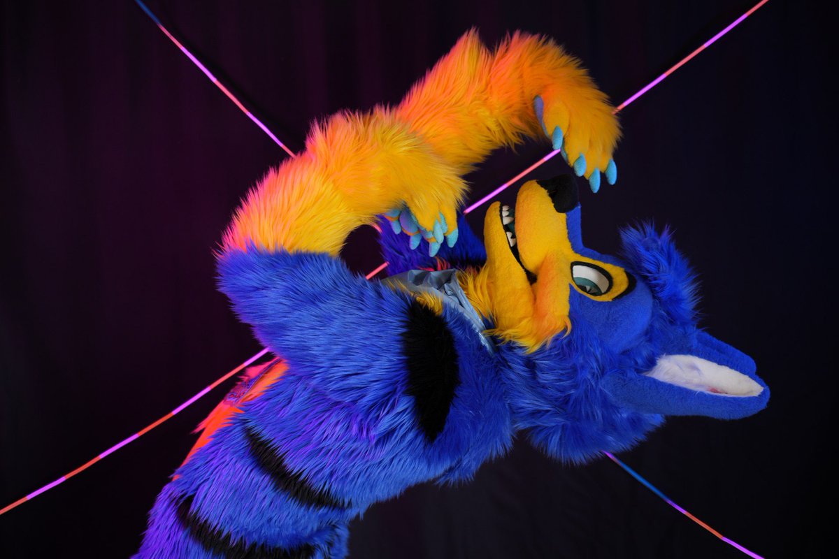 Teezik_Wolf's tweet image. How do you like my pose for this #fursuitfriday ? 😏😉😁 
📷 @Pitou_Rikou  (from JapanToursFestival)
🪡🧵 Thunderhowl studios

#furry #fursuit #frenchfusuiter #fursuiters