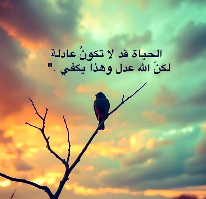 صقر -🇸🇦 (@mmffaa0554) on Twitter photo 