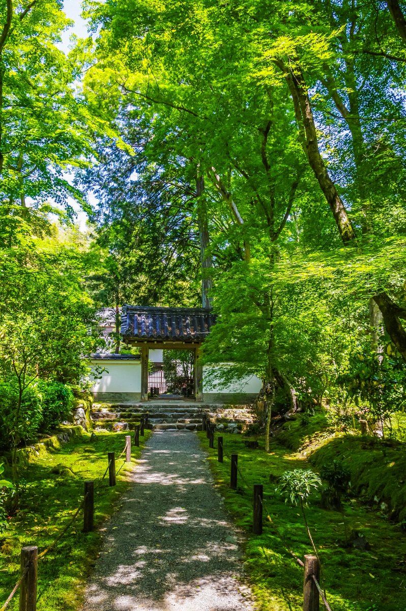 〜ぶらりフォト【京都】地蔵院(新緑)⑩〜

"木漏れ日溢れる翠道を進み中門へ"

PENTAX K-3 Prestige Edition
PENTAX-DA★16-50mm F2.8