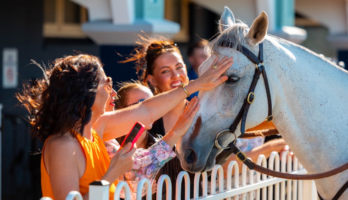 RACING TODAY AT NEWCASTLE! 
Cystic Fibrosis Race Day 
Weather: Raining 
Track: Heavy 9 
Rail: Out 9m entire 
First Jumps: 11.55am 
Race Fields here… racing.racingnsw.com.au/FreeFields/Acc…