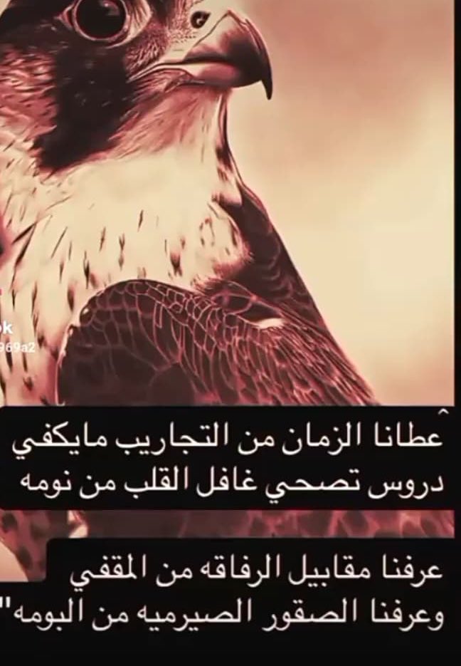 صقر -🇸🇦 (@mmffaa0554) on Twitter photo 