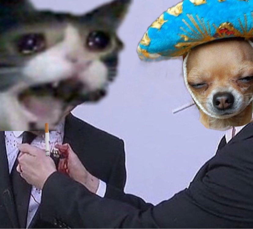 <a href="/WhitneyWalker33/">whitney</a> Happy Friday Whitneyy!! Hope you have the best weekend! 💖💖