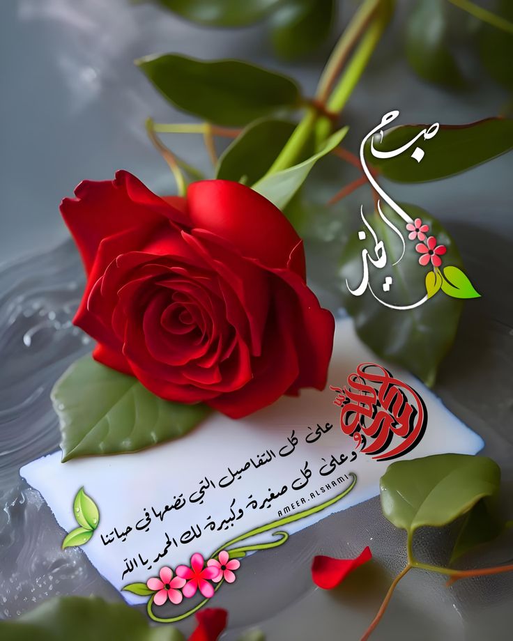 اللهم صباحاً تشرق معه أرواحنا املاً وفرحة وسعادة ...