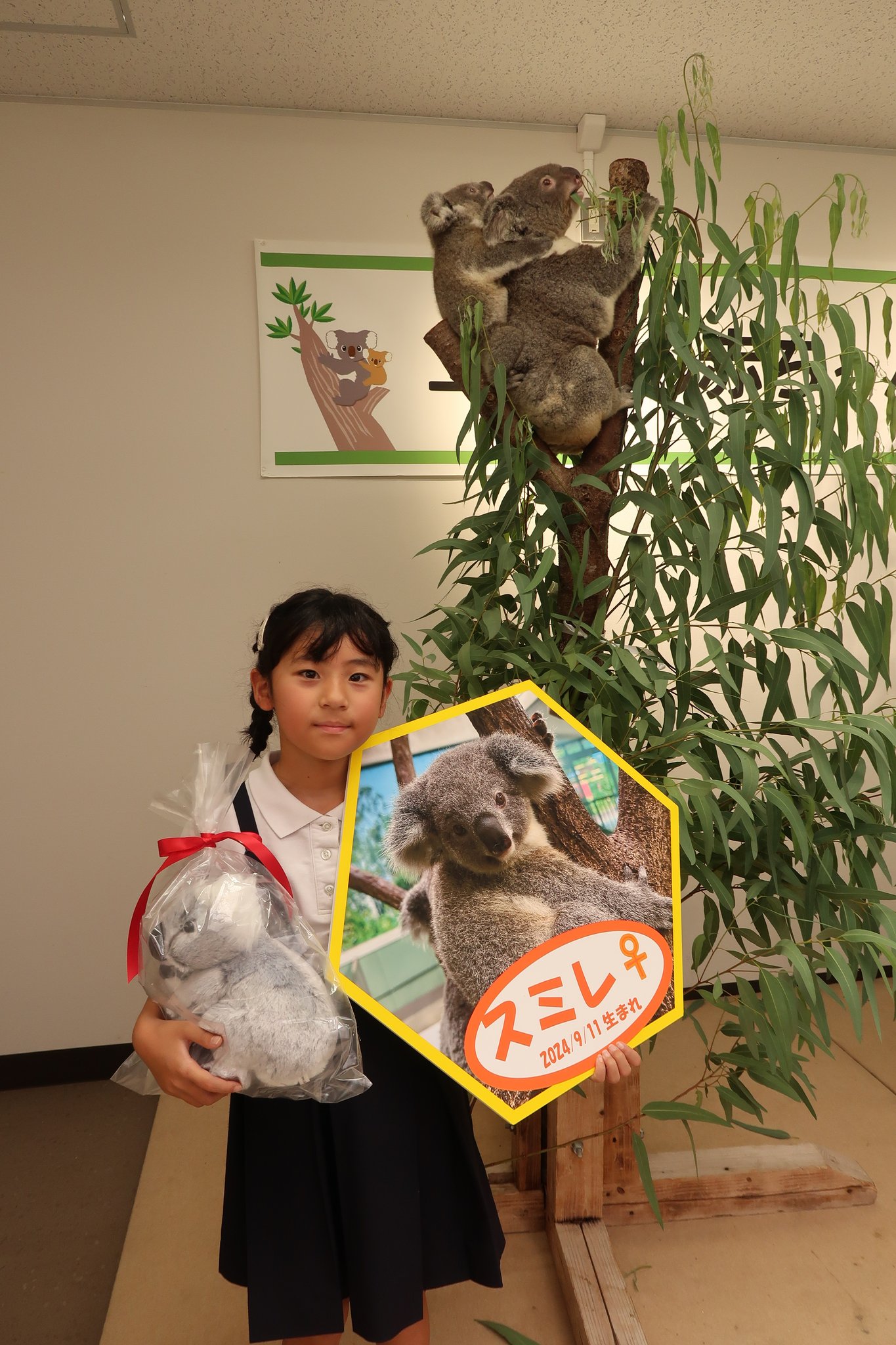 すみれいれいコアラ あなた、スミレちゃんっていうの🐨❣️💐 20250522 🙅‍♀️無断