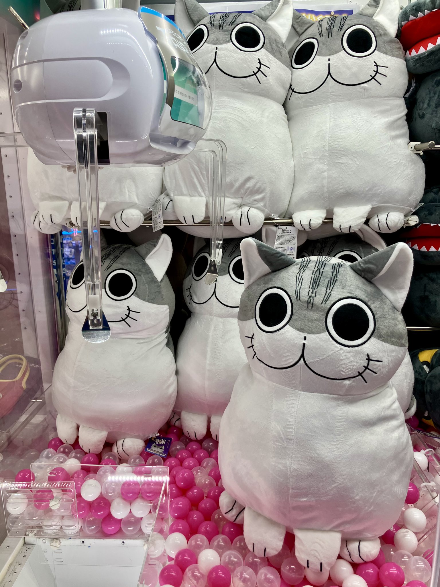 4体　夜は猫といっしょ 　GIGO限定 ぬいぐるみ　ぶるぶるマスコット コンテンツ対象店舗一覧｜GENDAGiGO