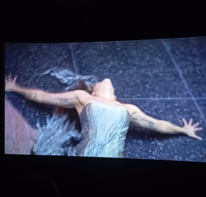 Quando se jogou no chão fiquei pensando na infecção que pegou e pedi perdão por chamar de preguiçosa