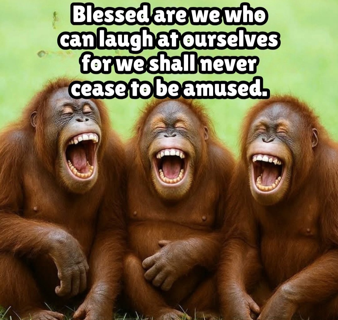 I laugh at myself, do you?