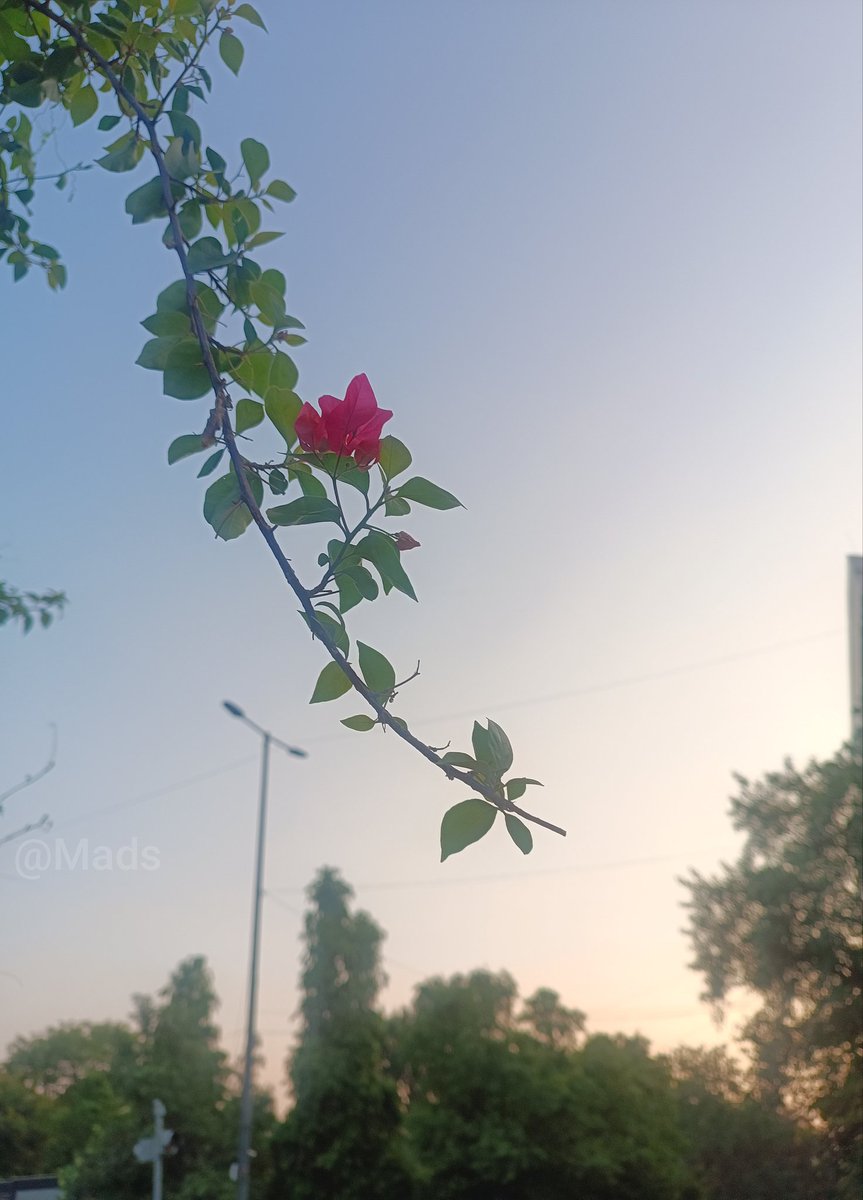 Mads00108's tweet image. Single child 🙂