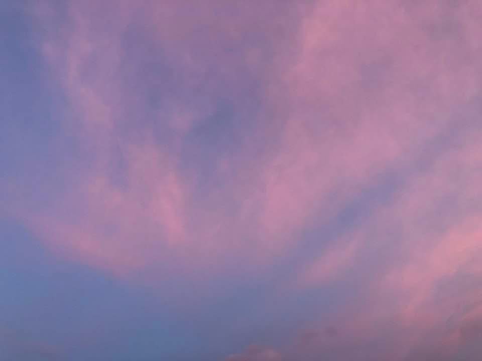 LaserMaker's tweet image. The sky above me is the sky above you. Birds and hawks and eagles fill the air with the beauty of flight and song and the wonder of life as they strive and survive. Later, the stars above me are the stars above you. Owls and bats and night birds fill the same air in the same…