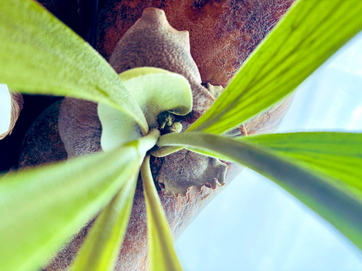 こうゆうので俺は幸せを得るの。