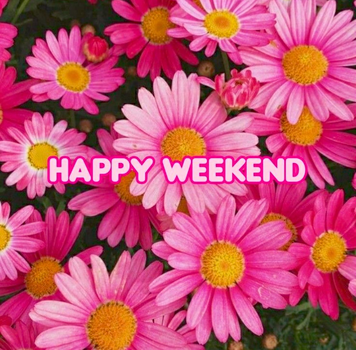 papiko7890's tweet image. Hello friends( *ˊᵕˋ)ノ❤️
Happy weekend everyone🤗💕💕
#フォロバ100
#土日はフォロワーさんが増えるらしい