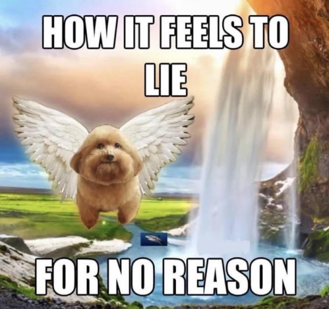 anna ✩‧₊˚ tweet media