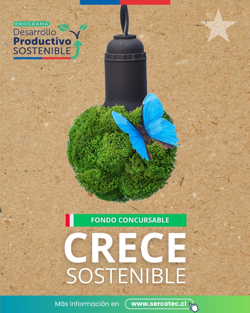 Sercotec (@sercotec_chile) on Twitter photo Si eres pequeña empresa o cooperativa y quieres incorporar tecnologías, ¡postula!♻️Este programa es desarrollado con aportes del Programa de Desarrollo Productivo Sostenible, coordinado por el Comité de Ministros y Ministras para el Desarrollo Productivo Sostenible. <a href="/meconomia/">Ministerio de Economía, Fomento y Turismo</a> Si eres pequeña empresa o cooperativa y quieres incorporar tecnologías, ¡postula!♻️Este programa es desarrollado con aportes del Programa de Desarrollo Productivo Sostenible, coordinado por el Comité de Ministros y Ministras para el Desarrollo Productivo Sostenible. <a href="/meconomia/">Ministerio de Economía, Fomento y Turismo</a>