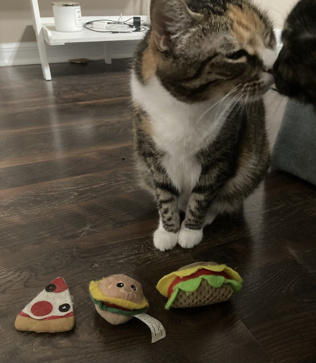 Hi friends! We always recommend a balanced diet. Missi suggests pizza 🍕, burgers 🍔 and tacos 🌮 as she gives me a sweet kiss. 
It’s the weekend, feel free to indulge and enjoy! We love you! 😻❤️