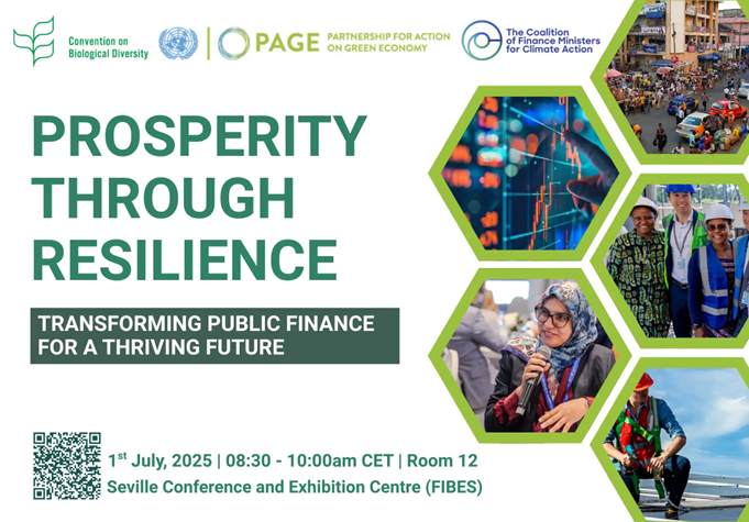 UNBiodiversity's tweet photo. Join us &amp; partners at #FFD4 for a reflection on how public finance management can bolster resilience and deliver for people &amp; #ForNature, including by enabling business contributions to the implementation of the Global Biodiversity Framework #KMGBF:

🔗https://t.co/i6aOKQvHnY https://t.co/FpIiHOqQgU