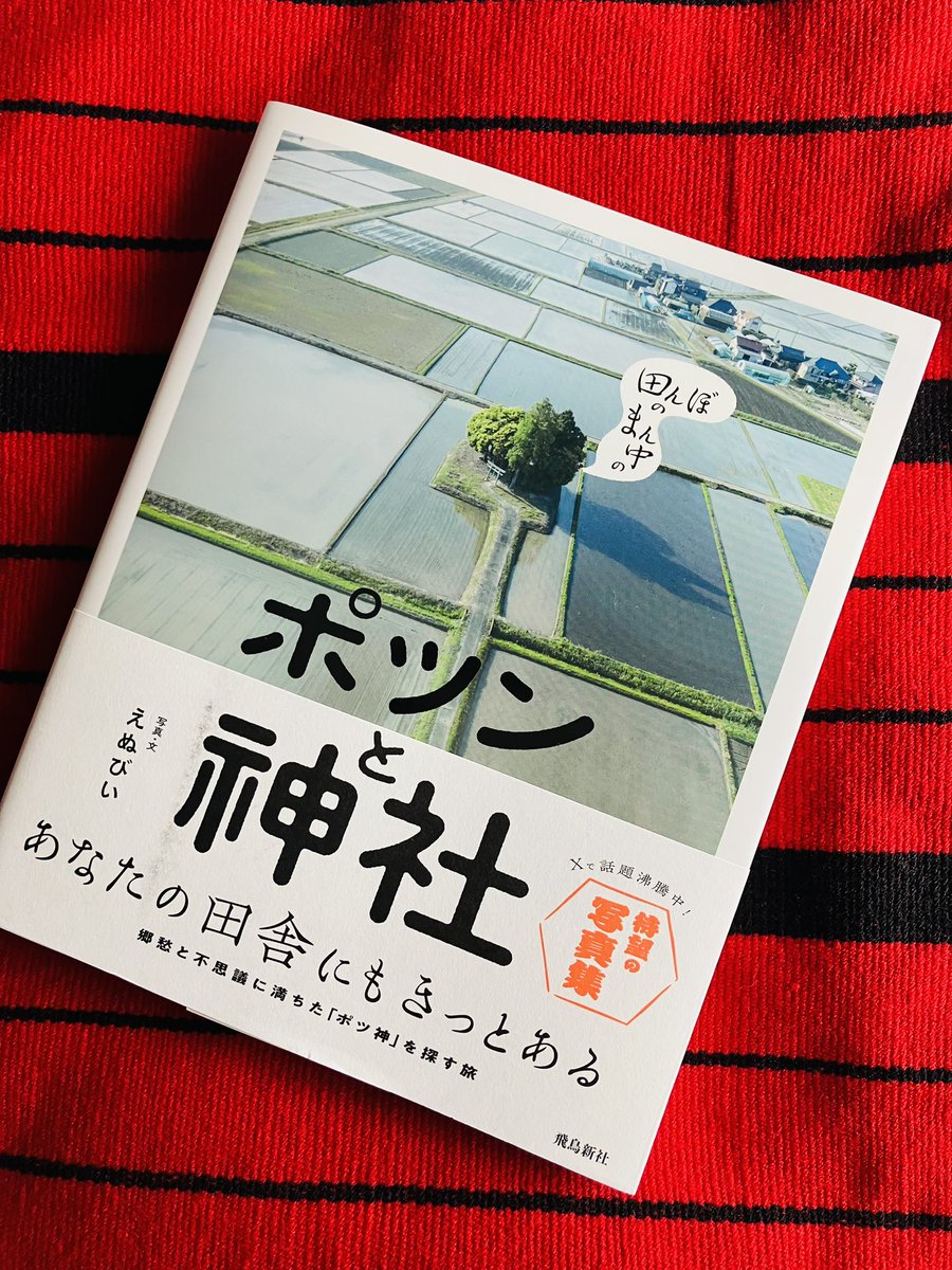 一目惚れで本買ってきた。えぬびい『田んぼのまん中のポツンと神社』（飛鳥新社）。そうそうそうそう！言われてみれば惹かれていたのよああいう神社。素晴らしい視点ですね。