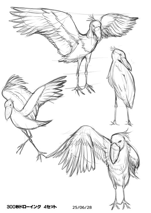 朝練29日目
ハシビコロウ(カパパパパパ) 