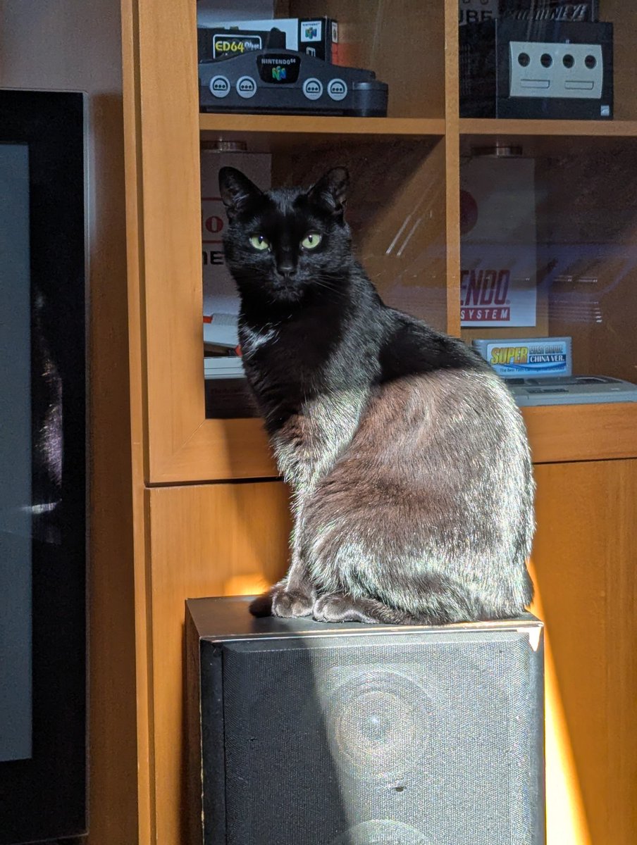 nyimski's tweet image. Super Meowio