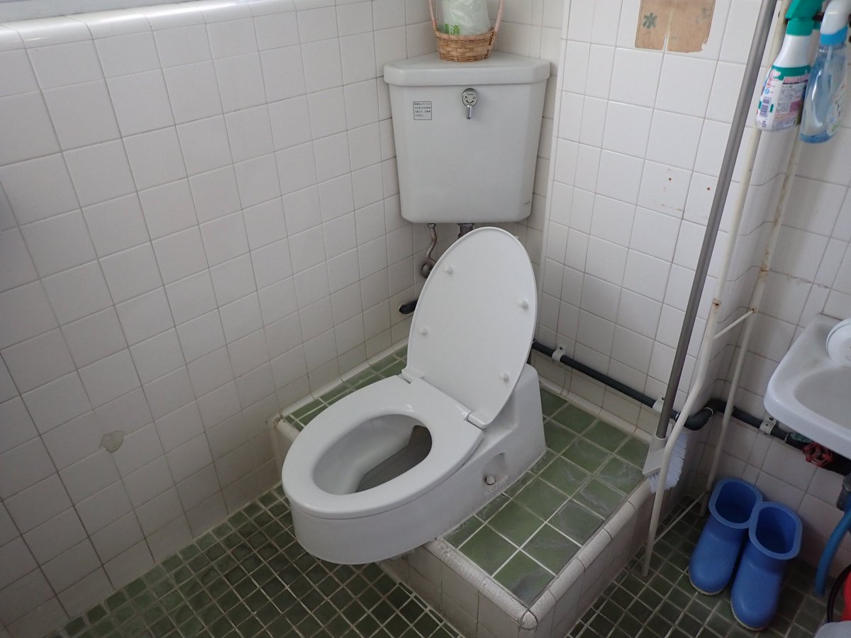トイレしようとした紙　希少 とある薬局のトイレです。スワレットで洋式化されていますが、特殊品