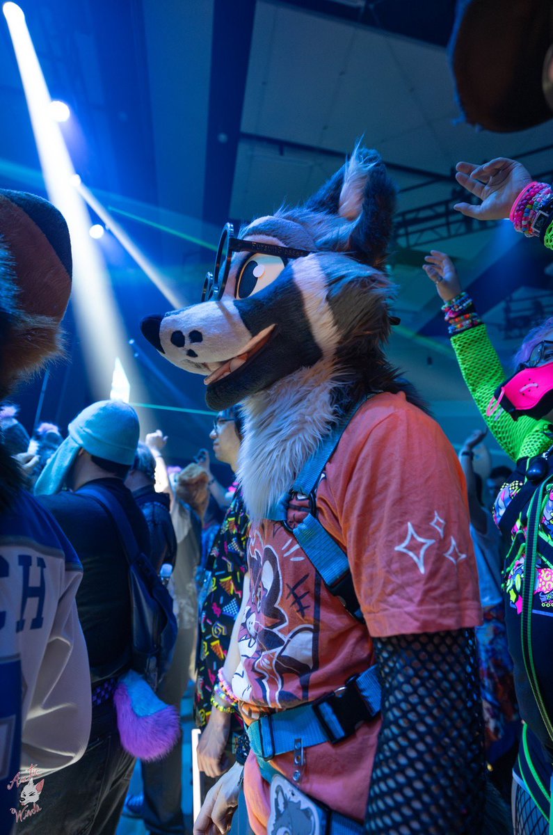 Mesmerized by all the pretty lights 

#FursuitsFriday 
📷 <a href="/ArcticWindPhoto/">Arctic Winds Photos</a>
