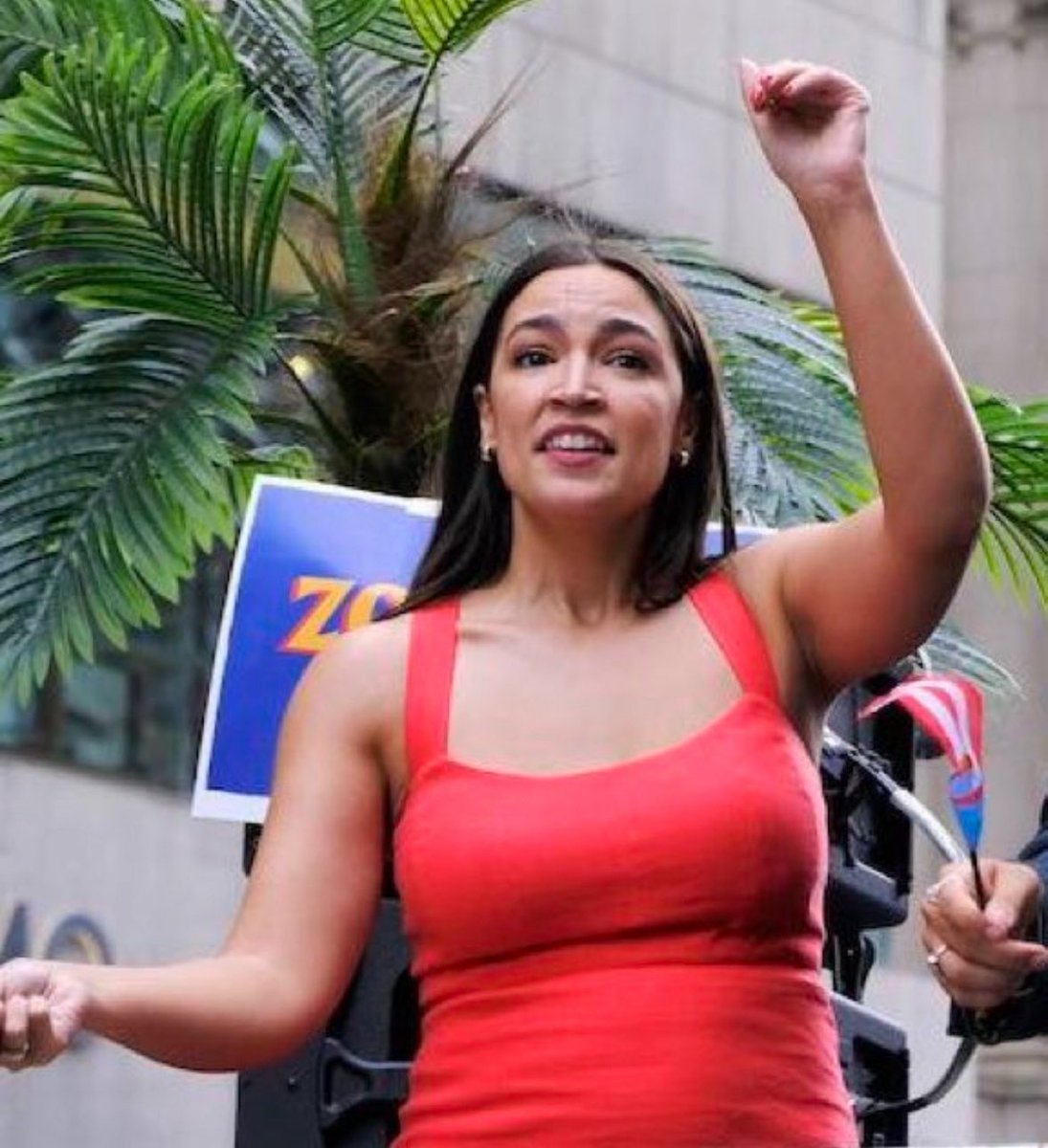 Do you think AOC is pregnant or just Fat ??