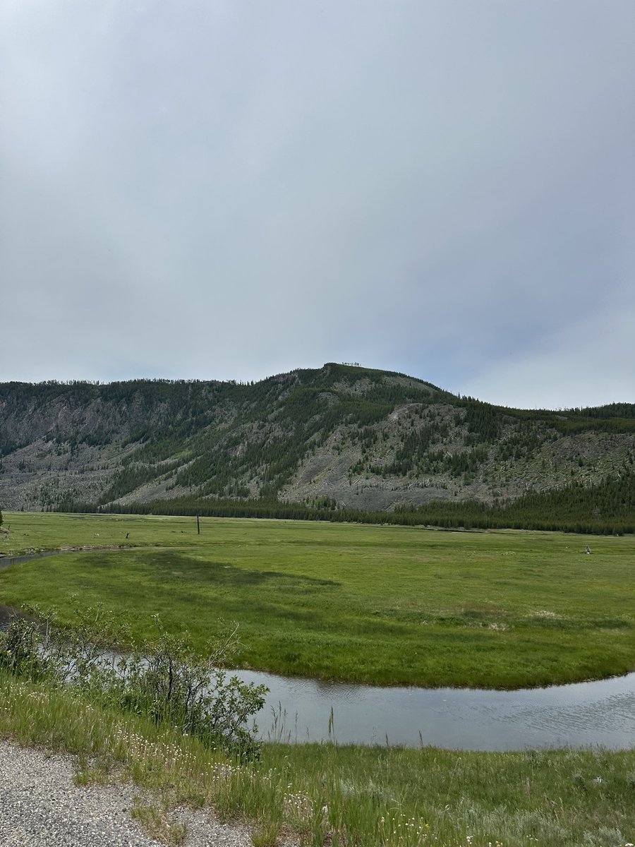 Donovan Strauss (@donovanstrauss) on Twitter photo 