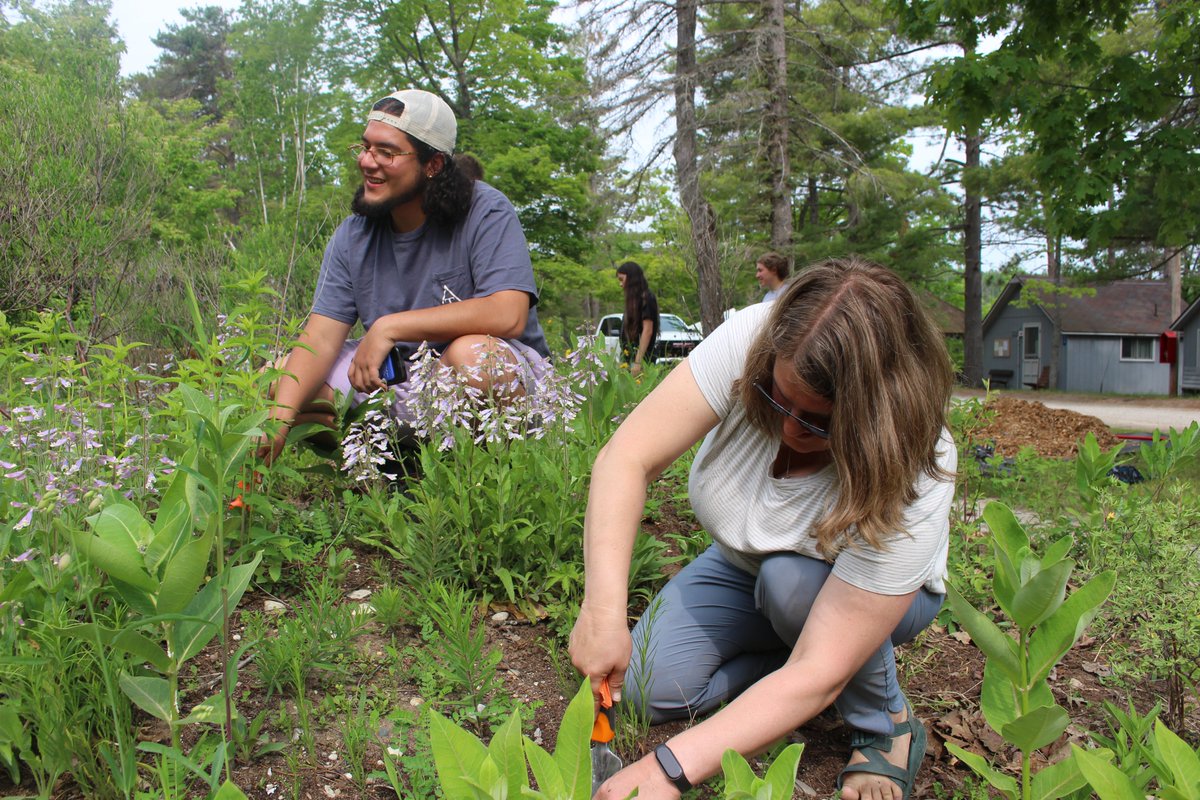UMBS's tweet image. As a community service project, @UMBS students in the General Ecology Lab course taught by Dr. Corrine Monks, pictured in the bottom middle of the group photo, weeded the rain garden outside Gates Lecture Hall.